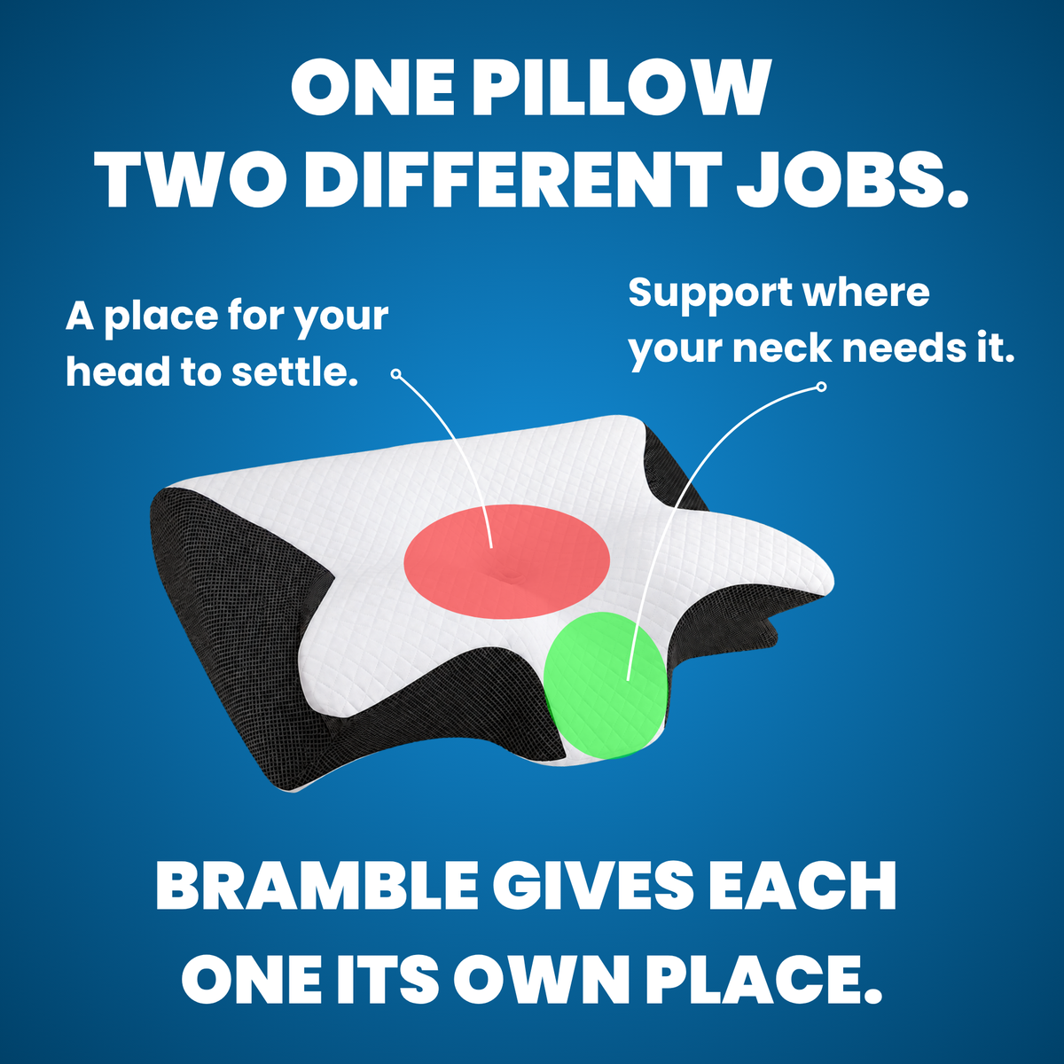 Bramble Align Pillow - The Driver's Reset Pillow