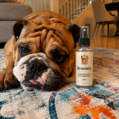 Bramble Protocol – Soothing Spray with Prebiotics